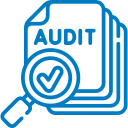 Audit Report Icon